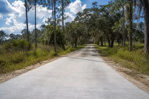 Rural Florida driveway transitioning from finished concrete to rutted gravel under pines
